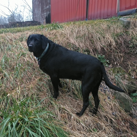 About Me. - Picture 3 of 4